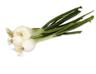 Onion: Spring